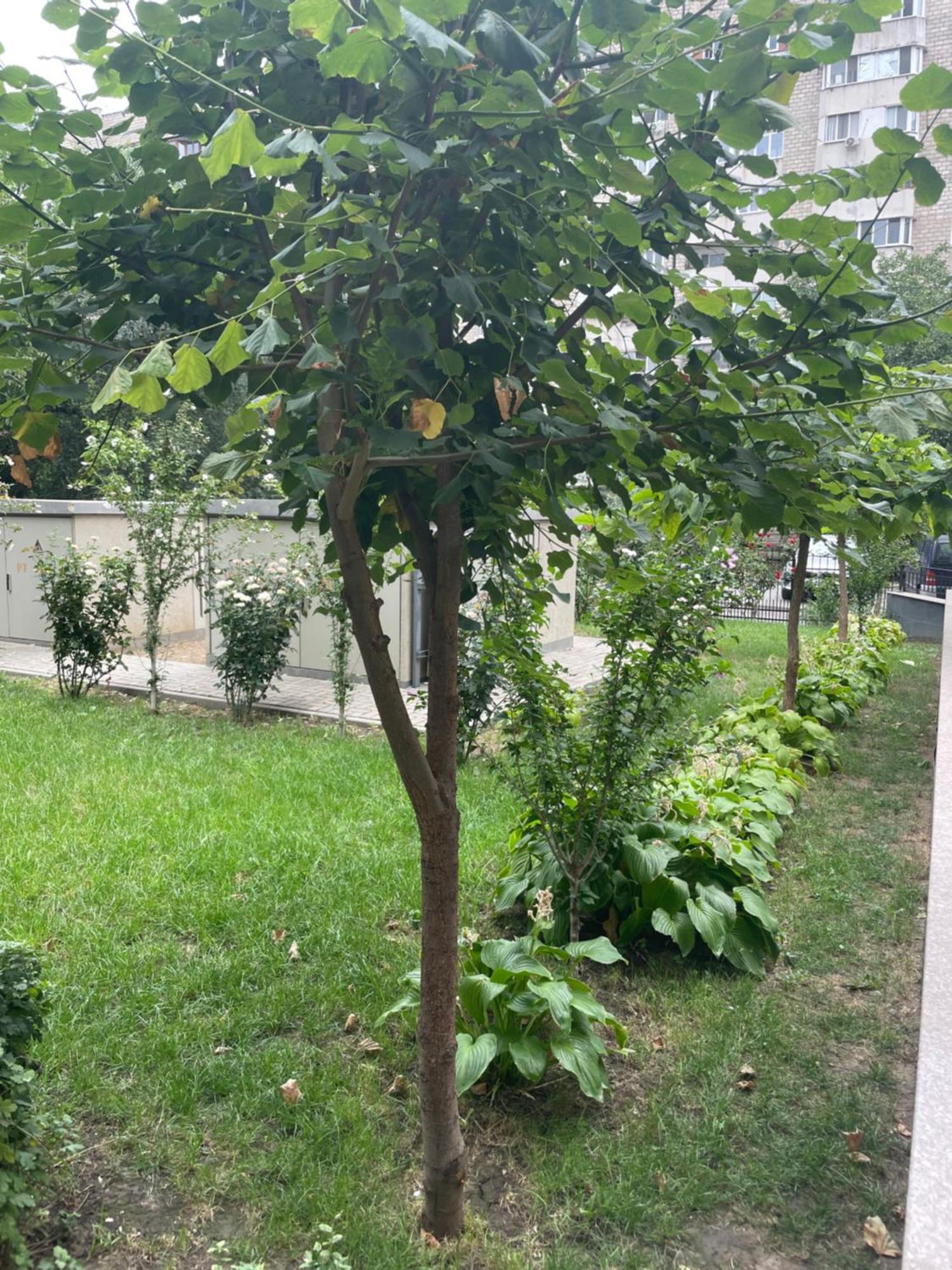 Buiucani Residence Chisinau Bagian luar foto